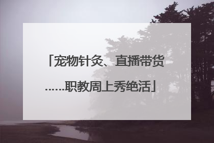 宠物针灸、直播带货……职教周上秀绝活