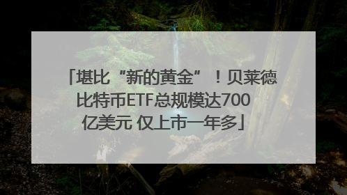堪比“新的黄金”！贝莱德比特币ETF总规模达700亿美元 仅上市一年多