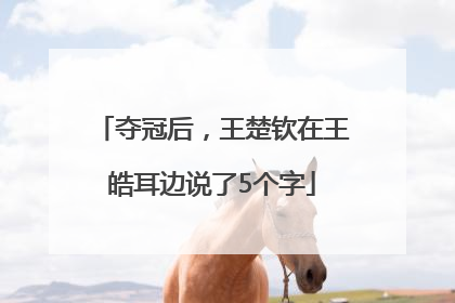 夺冠后，王楚钦在王皓耳边说了5个字