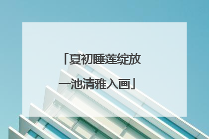 夏初睡莲绽放 一池清雅入画