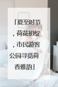 夏至时节，荷花初绽，市民游客公园寻觅荷香雅韵