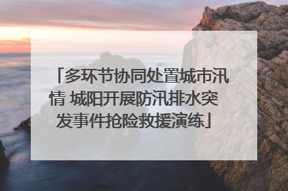 多环节协同处置城市汛情 城阳开展防汛排水突发事件抢险救援演练