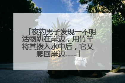 夜钓男子发现一不明活物趴在岸边，用竹竿将其拨入水中后，它又爬回岸边……