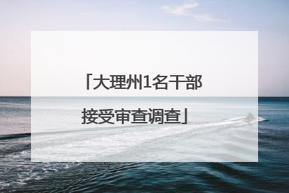 大理州1名干部接受审查调查