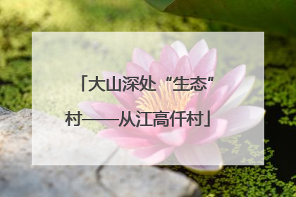 大山深处“生态”村——从江高仟村