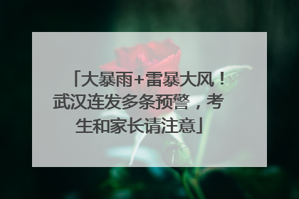 大暴雨+雷暴大风！武汉连发多条预警，考生和家长请注意
