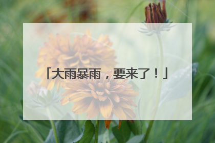 大雨暴雨，要来了！