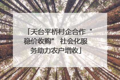 天台平桥村企合作“稳价收购” 社会化服务助力农户增收