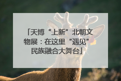 天博“上新”北朝文物展：在这里“遇见”民族融合大舞台