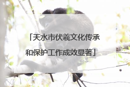 天水市伏羲文化传承和保护工作成效显著