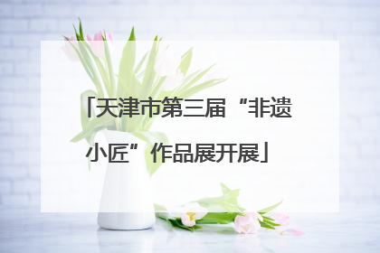 天津市第三届“非遗小匠”作品展开展