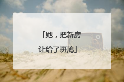 她，把新房让给了斑鸠