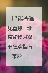 当粽香遇见童趣｜北京动物园双节狂欢指南来啦！
