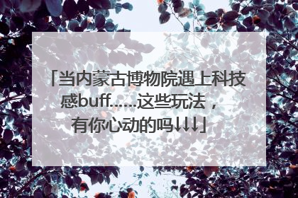 当内蒙古博物院遇上科技感buff……这些玩法，有你心动的吗↓↓↓