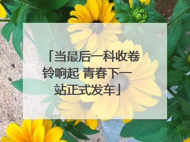 当最后一科收卷铃响起 青春下一站正式发车