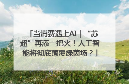 当消费遇上AI｜“苏超”再添一把火！人工智能将彻底颠覆绿茵场？
