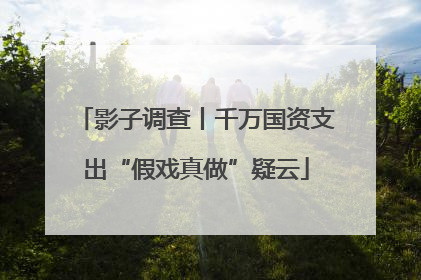 影子调查丨千万国资支出“假戏真做”疑云