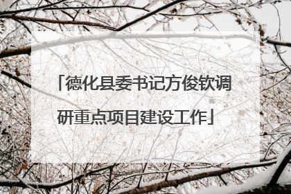 德化县委书记方俊钦调研重点项目建设工作