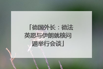 德国外长：德法英愿与伊朗就核问题举行会谈