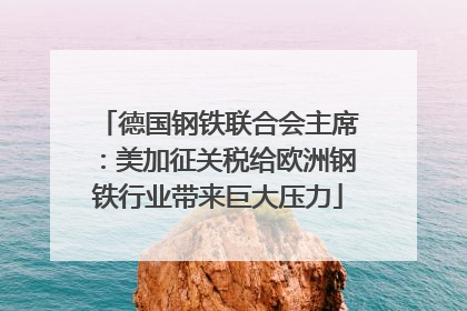 德国钢铁联合会主席：美加征关税给欧洲钢铁行业带来巨大压力