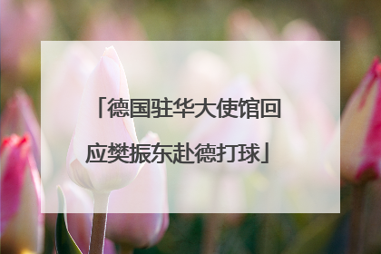 德国驻华大使馆回应樊振东赴德打球
