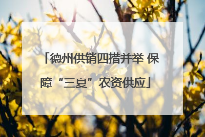 德州供销四措并举 保障“三夏”农资供应