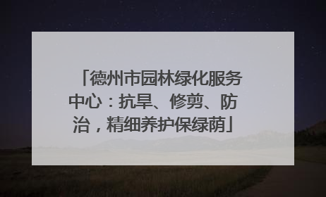 德州市园林绿化服务中心：抗旱、修剪、防治，精细养护保绿荫