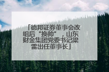 德邦证券董事会改组后“换帅”，山东财金集团党委书记梁雷出任董事长