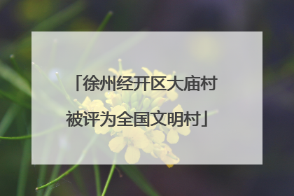 徐州经开区大庙村被评为全国文明村