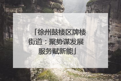 徐州鼓楼区牌楼街道：聚势谋发展 服务赋新能