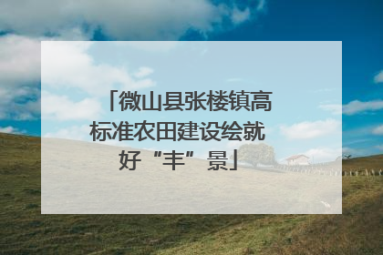 微山县张楼镇高标准农田建设绘就好“丰”景