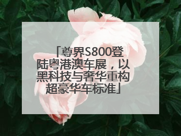 尊界S800登陆粤港澳车展，以黑科技与奢华重构超豪华车标准