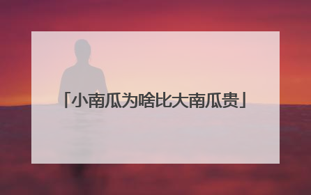 小南瓜为啥比大南瓜贵