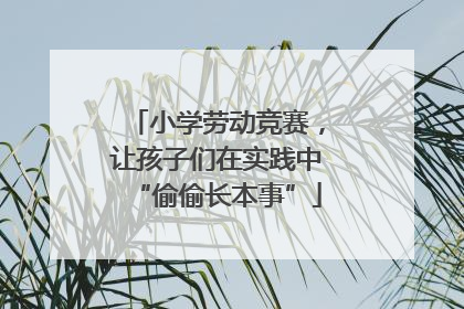 小学劳动竞赛，让孩子们在实践中“偷偷长本事”