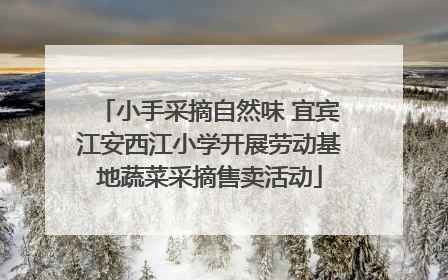 小手采摘自然味 宜宾江安西江小学开展劳动基地蔬菜采摘售卖活动