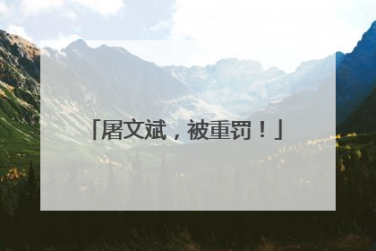 屠文斌，被重罚！