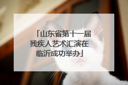 山东省第十一届残疾人艺术汇演在临沂成功举办