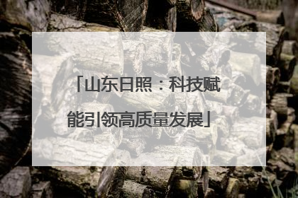 山东日照：科技赋能引领高质量发展
