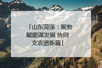 山东菏泽：聚势赋能谋发展 协同支农谱新篇