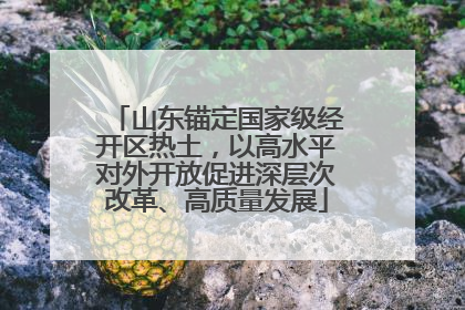 山东锚定国家级经开区热土，以高水平对外开放促进深层次改革、高质量发展