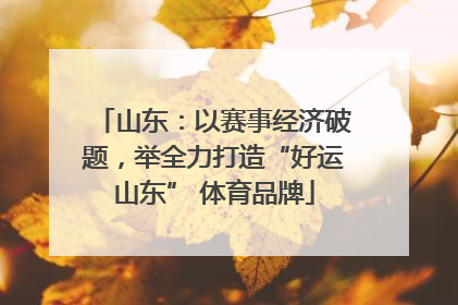 山东：以赛事经济破题，举全力打造“好运山东” 体育品牌