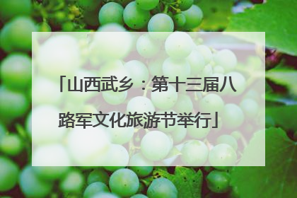 山西武乡：第十三届八路军文化旅游节举行
