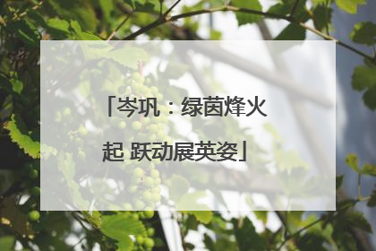 岑巩：绿茵烽火起 跃动展英姿
