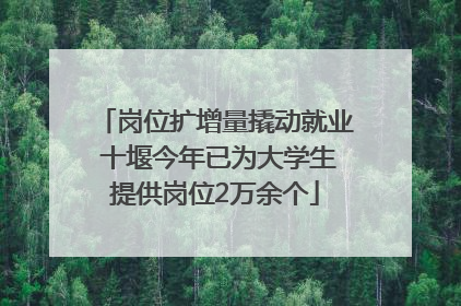 岗位扩增量撬动就业 十堰今年已为大学生提供岗位2万余个