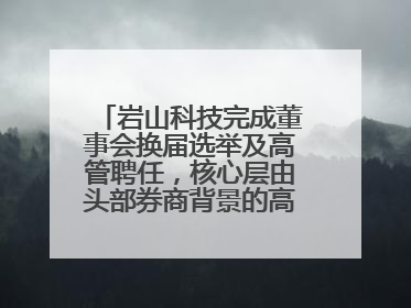 岩山科技完成董事会换届选举及高管聘任，核心层由头部券商背景的高管掌控