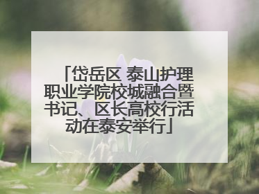 岱岳区 泰山护理职业学院校城融合暨书记、区长高校行活动在泰安举行