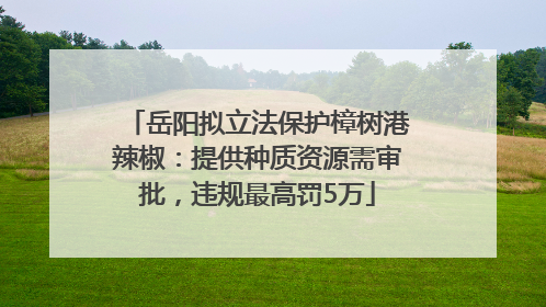 岳阳拟立法保护樟树港辣椒：提供种质资源需审批，违规最高罚5万