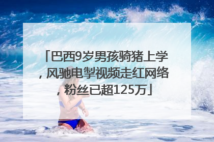 巴西9岁男孩骑猪上学，风驰电掣视频走红网络，粉丝已超125万