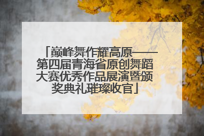 巅峰舞作耀高原——第四届青海省原创舞蹈大赛优秀作品展演暨颁奖典礼璀璨收官