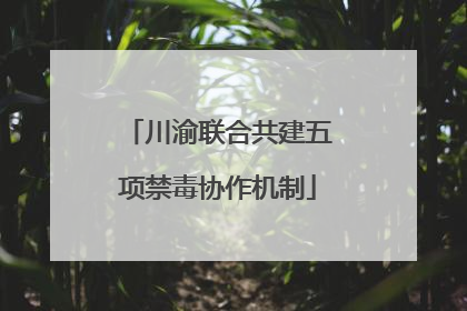 川渝联合共建五项禁毒协作机制